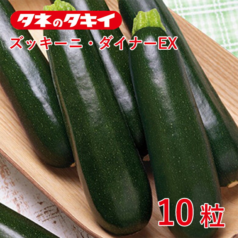 ズッキーニ・ダイナーEX 10粒