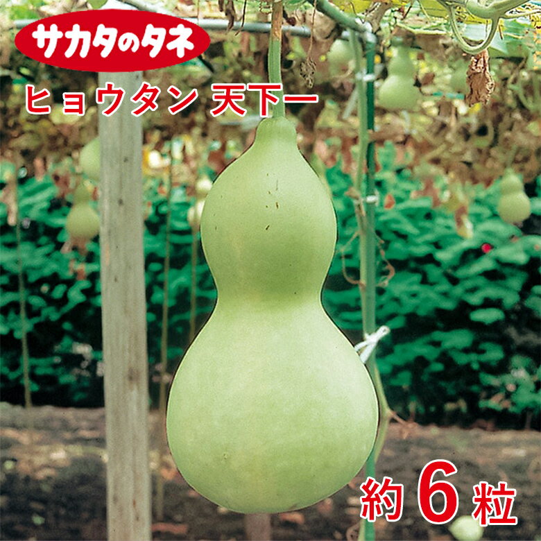 ヒョウタン 天下一 約6粒