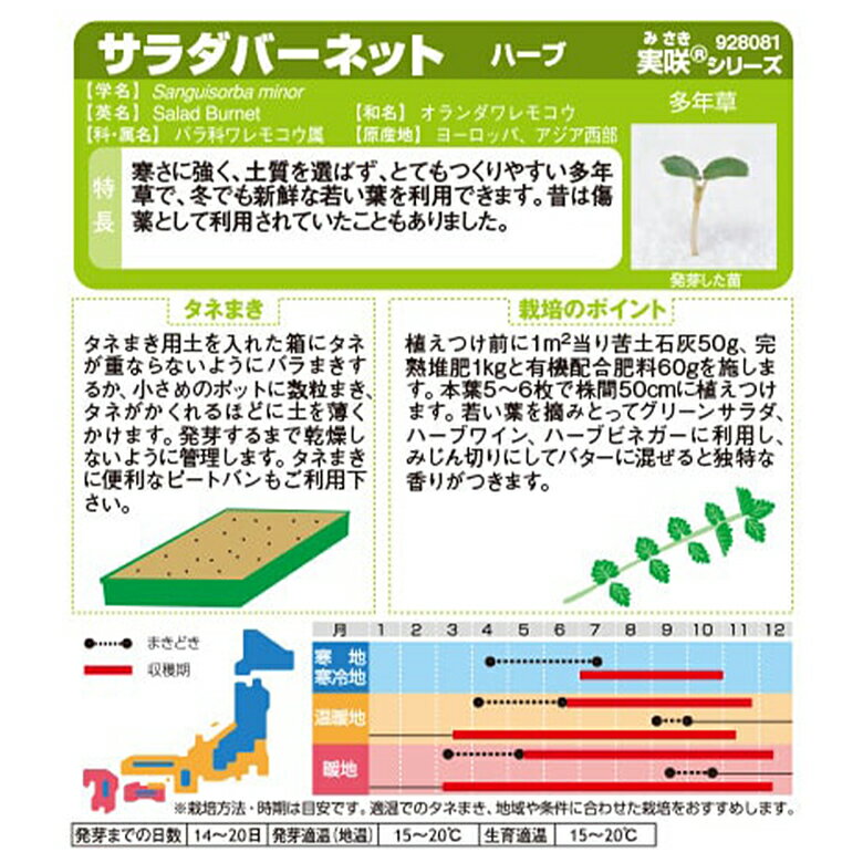 ハーブ サラダバーネット 約60粒