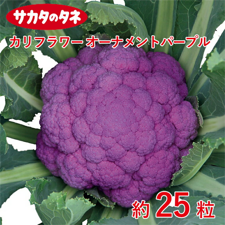 Rakuten - リフラワー オーナメントパープル 約25粒