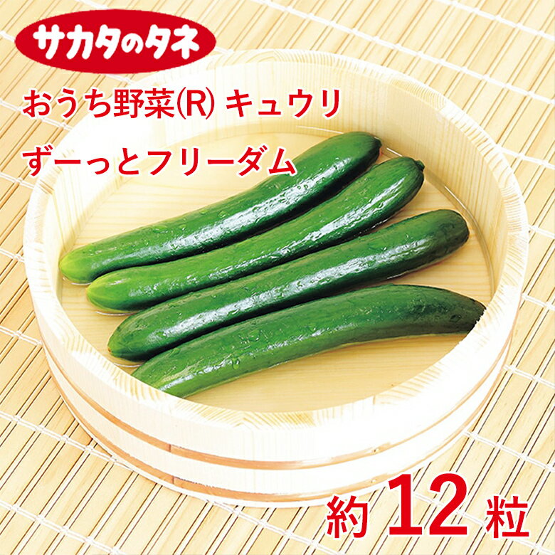Rakuten - おうち野菜(R) キュウリ ずーっとフリーダム 約 12粒