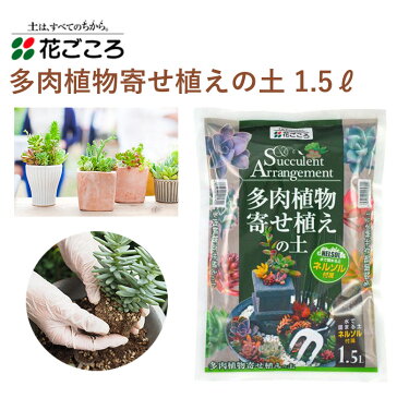 花ごころ 多肉植物寄せ植えの土 ネルソル付属 1.5L 培養土 多肉植物 寄せ植え 植え替え 水で固まる ネルソル 園芸 土壌改良材 混ぜるだけ 手軽 簡単 肥料 園芸用品 農業資材 農業用品 家庭菜園 ガーデニング ガーデニング用品 ガーデン 花 野菜 花壇 鉢植え 土