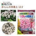 花ごころ 洋らんの培養土 12L 培養土 洋らん 園芸 植え替え 土壌改良材 混ぜるだけ 手軽 簡単 肥料 園芸用品 農業資材 農業用品 家庭菜園 ガーデニング ガーデニング用品 ガーデン 花 野菜 花壇 鉢植え 土