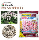 花ごころ 洋らんの培養土 5L 培養土 洋らん 園芸 植え替え 土壌改良材 混ぜるだけ 手軽 簡単 肥料 園芸用品 農業資材 農業用品 家庭菜園 ガーデニング ガーデニング用品 ガーデン 花 野菜 花壇 鉢植え 土