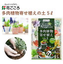 花ごころ 多肉植物寄せ植えの土 ネルソル付属 5L 培養土 多肉植物 寄せ植え 植え替え 水で固まる ネルソル 園芸 土壌改良材 混ぜるだけ 手軽 簡単 肥料 園芸用品 農業資材 農業用品 家庭菜園 ガーデニング ガーデニング用品 ガーデン 花 野菜 花壇 鉢植え 土