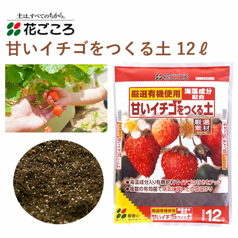 花ごころ 甘いイチゴを作る土 12L 培養土 イチゴ 植え替え 園芸 土壌改良材 混ぜるだけ 手軽 簡単 肥料 園芸用品 農業資材 農業用品 家庭菜園 ガーデニング ガーデニング用品 ガーデン 花 野菜 花壇 鉢植え 土のサムネイル