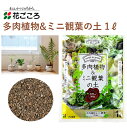 花ごころ 多肉植物&ミニ観葉の土 1L 培養土 多肉植物 ミニ観葉 え替え 園芸 土壌改良材 混ぜるだけ 手軽 簡単 肥料 園芸用品 農業資材 農業用品 家庭菜園 ガーデニング ガーデニング用品 ガーデン 花 野菜 花壇 鉢植え 土