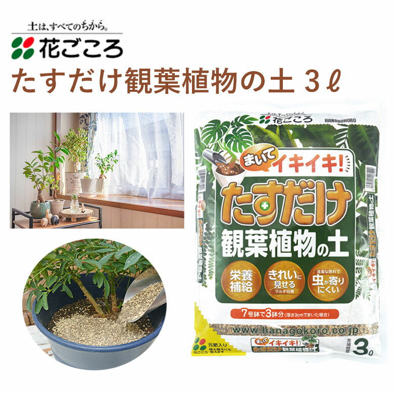 花ごころ たすだけ観葉植物の土 3L 