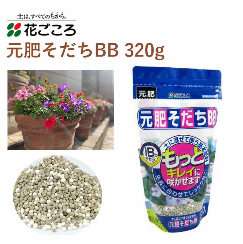 花ごころ 元肥そだちBB 320g 肥料 園