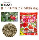 花ごころ 甘いイチゴをつくる肥料 2kg 肥料 イチゴ 園芸 有機質素材 混ぜるだけ 手軽 簡単 肥料 園芸用品 農業資材 農業用品 家庭菜園 ガーデニング ガーデニング用品 ガーデン 花 野菜 花壇 鉢植え 土