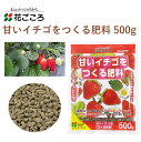 花ごころ 甘いイチゴをつくる肥料 500g 肥料 イチゴ 園芸 有機質素材 混ぜるだけ 手軽 簡単 肥料 園芸用品 農業資材 農業用品 家庭菜園 ガーデニング ガーデニング用品 ガーデン 花 野菜 花壇 鉢植え 土