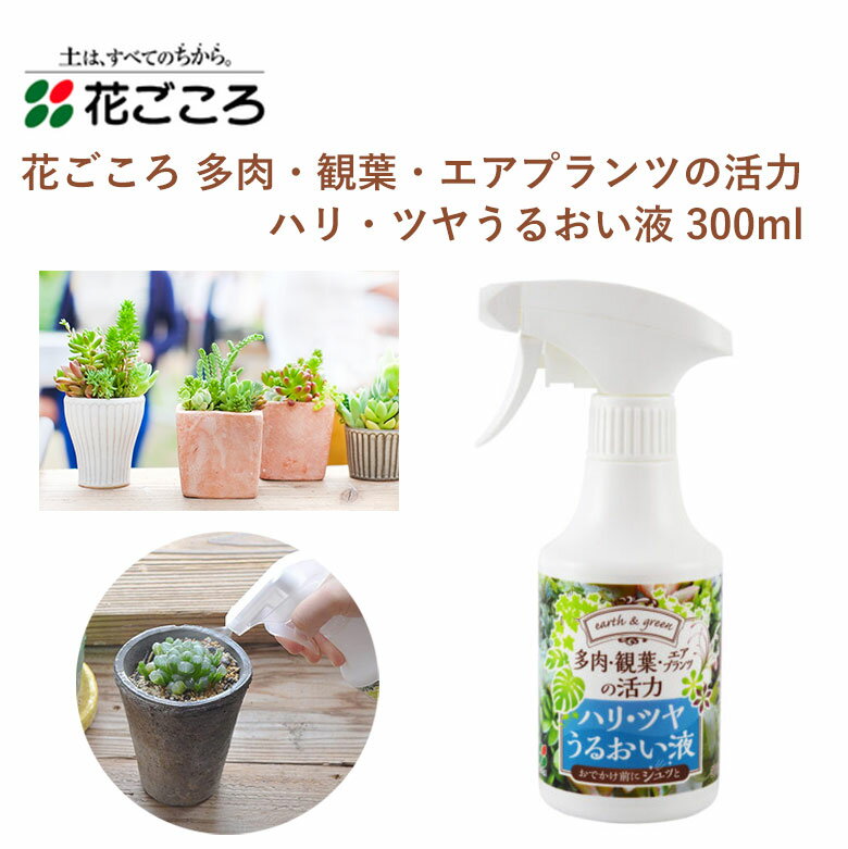 花ごころ 多肉・観葉・エアプランツの活力 ハリ・ツヤうるおい液 300ml 活力液 多肉植物 エアープランツ 園芸 簡単 園芸用品 農業資材 農業用品 ガーデニング ガーデニング用品 ガーデンのサムネイル
