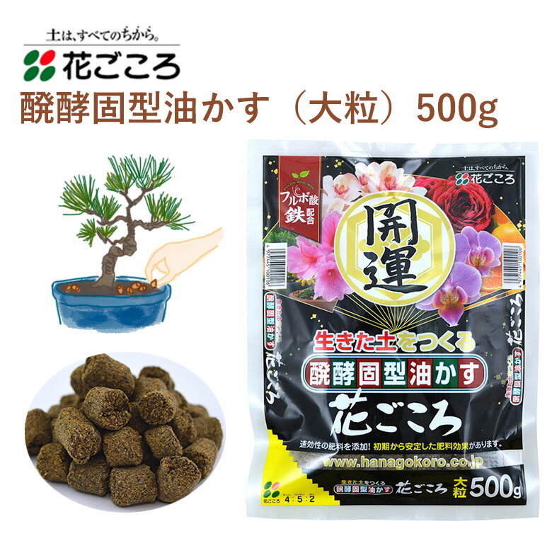 花ごころ 醗酵固型油かす 大粒 500g 