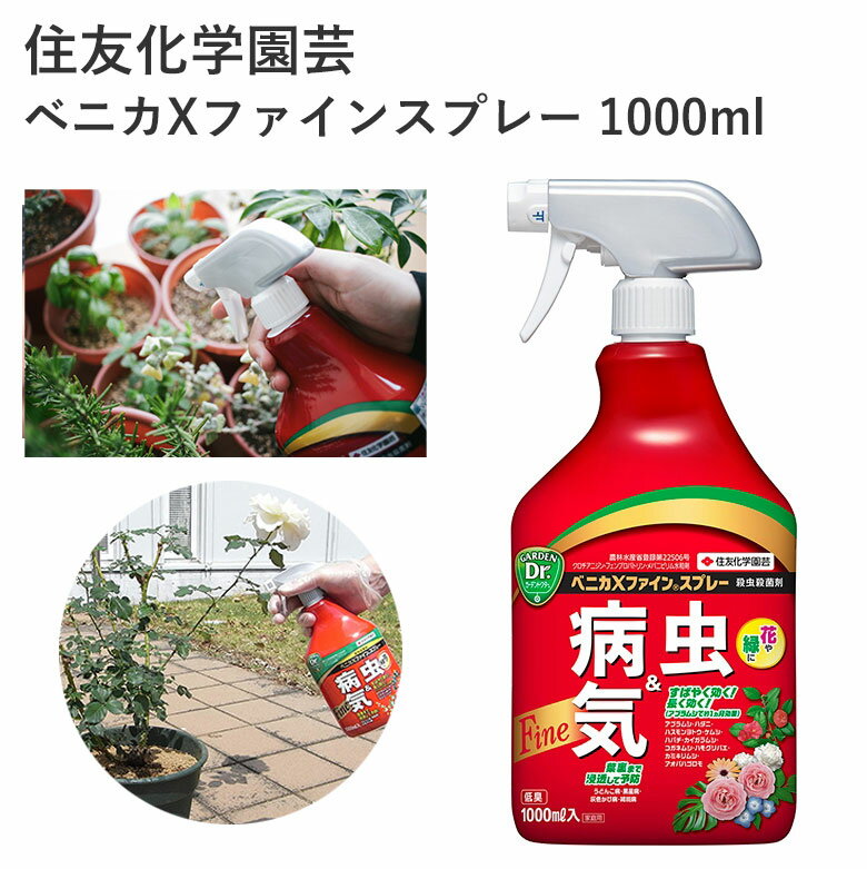 住友化学園芸 ベニカXファインスプレー 1000ml 殺虫剤 殺菌剤 殺虫殺菌材 スプレー 液剤 害虫 効果持続 農薬 園芸用品 農業資材 農業用品 家庭菜園 畑 花 野菜 樹木 春夏野菜 秋冬野菜 ミニトマト トマト きゅうり なす バラ アブラムシ