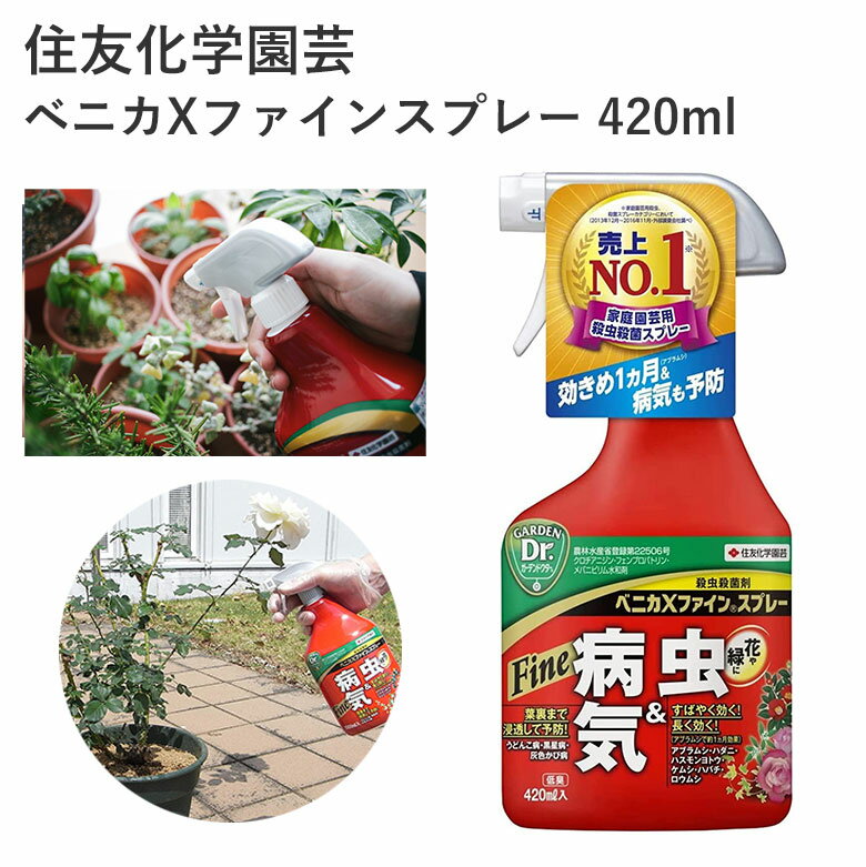 住友化学園芸 ベニカXファインスプレー 420ml 殺虫剤 殺菌剤 殺虫殺菌材 スプレー 液剤 害虫 効果持続 農薬 園芸用品 農業資材 農業用品 家庭菜園 畑 花 野菜 樹木 春夏野菜 秋冬野菜 ミニトマ…