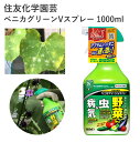 住友化学園芸 ベニカグリーンVスプレー 1000ml 殺虫剤 殺菌剤 殺虫殺菌材 スプレー 液剤 害虫 効果持続 農薬 園芸用品 農業資材 農業用品 家庭菜園 畑 花 野菜 樹木 春夏野菜 秋冬野菜 ミニトマト トマト きゅうり なす バラ アブラムシ