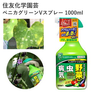 住友化学園芸 ベニカグリーンVスプレー 1000ml 殺虫剤 殺菌剤 殺虫殺菌材 スプレー 液剤 害虫 効果持続 農薬 園芸用品 農業資材 農業用品 家庭菜園 畑 花 野菜 樹木 春夏野菜 秋冬野菜 ミニトマト トマト きゅうり なす バラ アブラムシ