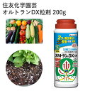 商品名 住友化学園芸 オルトランDX粒剤 200g サイズ/丈 200g 特徴 浸透移行性の殺虫成分を2種類配合。 土にばらまくだけで植物に吸収され、植物全体を害虫から守る予防的効果が約1ヵ月(アブラムシ)続きます。 (※殺虫効果の長い残効性を指す) 使いやすく手軽な散粒ボトル入り(200gタイプ)なので、ばらの鉢植えなどの害虫対策におすすめです。 【有効成分】アセフェート・クロチアニジン商品名 住友化学園芸 オルトランDX粒剤 200g サイズ/丈 200g 特徴 浸透移行性の殺虫成分を2種類配合。 土にばらまくだけで植物に吸収され、植物全体を害虫から守る予防的効果が約1ヵ月(アブラムシ)続きます。 (※殺虫効果の長い残効性を指す) 使いやすく手軽な散粒ボトル入り(200gタイプ)なので、ばらの鉢植えなどの害虫対策におすすめです。 【有効成分】アセフェート・クロチアニジン 関連商品 肥料・用土・農薬の商品一覧はこちら⇒