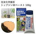 住友化学園芸 トップジンMペースト 100g 殺菌剤 癒合剤 ペースト 効果持続 農薬 園芸用品 農業資材 農業用品 家庭菜園 ガーデニング ガーデニング用品 ガーデン 花 野菜 樹木 腐らん病 つる枯病