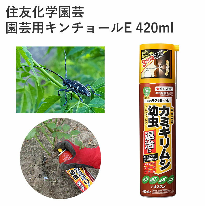 住友化学園芸 園芸用キンチョールE 420ml 殺虫剤 カミキリムシ 柑橘 花木 スプレータイプ エアゾール 園芸 農薬 効果持続 農薬 園芸用品 農業資材 農業用品 家庭菜園 ガーデニング ガーデニング用品 ガーデン 花 野菜 樹木 アブラムシ ケムシ ハダニ