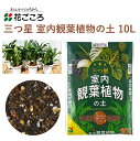 花ごころ 三つ星 室内観葉植物の土 10L 培養土 観葉植物 塊根植物 室内 三つ星 植え替え 観葉植物 園芸 手軽 簡単 肥料 園芸用品 農業資材 農業用品 ガーデニング ガーデニング用品 ガーデン 花壇 鉢植え 土 鹿沼土 パーライト