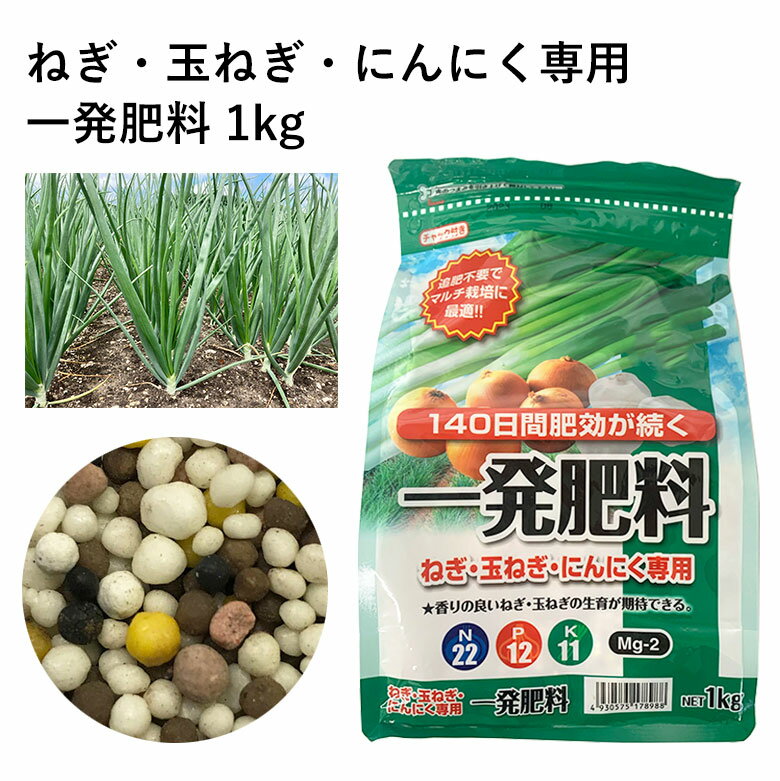 セントラルグリーン株式会社 ねぎ・玉ねぎ・にんにく専用 一発肥料 1kg 園芸 玉ねぎ ねぎ ネギ 葱 にんにく 肥料 農業 菜園 野菜 元肥 青ネギ 長ネギのサムネイル