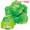 玉レタス シスコ 0.9ml 家庭菜園 野菜 種 種子 種まき レタス れたす チシャ 栽培 農業 野菜作り 野菜 おすすめ タキイ 通販 作りやすい 中生