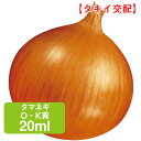 タマネギ O・K黃 タキイ交配 20ml 家庭菜園 野菜 種 種子 種まき 玉葱 玉ねぎ 玉ネギ たまねぎ 栽培 農業 野菜作り 野菜 おすすめ タキイ 通販 作りやすい 中生