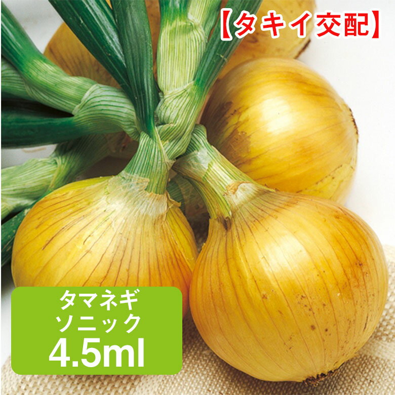 タマネギ ソニック タキイ交配 4.5ml 家庭菜園 野菜 種 種子 種まき 玉葱 玉ねぎ 玉ネギ たまねぎ 栽培 農業 野菜作り 野菜 おすすめ タキイ 通販 作りやすい 早生