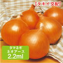 タマネギ ネオアース タキイ交配 2.2ml 家庭菜園 野菜 種 種子 種まき 玉葱 玉ねぎ 玉ネギ たまねぎ 栽培 農業 野菜作り 野菜 おすすめ タキイ 通販 作りやすい 中晩生