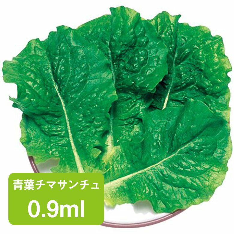 青葉チマサンチュ 0.9ml 家庭菜園 野菜 種 種子 ガーデニング 栽培 農業 野菜作り 野菜 おすすめ 通販 チシャ カキチシャ 作りやすい 焼肉