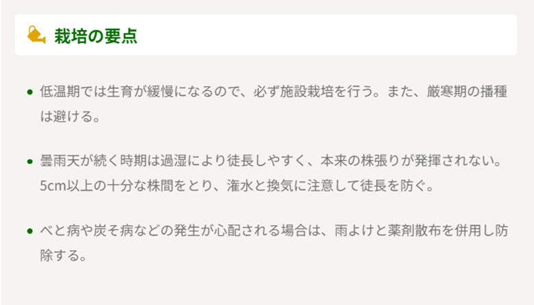 コマツナ・菜々音【タキイ交配】5ml 家庭菜園 野菜 種 種子 ガーデニング 栽培 農業 野菜作り 野菜 おすすめ 通販 耐病性 小松菜 作りやすい 3