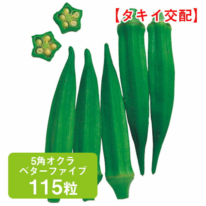 5角オクラ・ベターファイブ 115粒 家庭菜園 野菜 種 種子 ガーデニング 栽培 農業 野菜作り 野菜 おすすめ 通販 オクラ おくら タキイ 多収 極早生のサムネイル