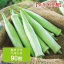 丸オクラ ヘルシエ 90粒 家庭菜園 野菜 種 種子 ガーデニング 栽培 農業 野菜作り 野菜 おすすめ 通販 オクラ おくら タキイ ファイトリッチ 直売所 人気