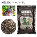 NELSOL ネルソル 5L 専用土 ネルソル 多肉植物 植物 練る 粘り気の成分 園芸 立体 自由自在