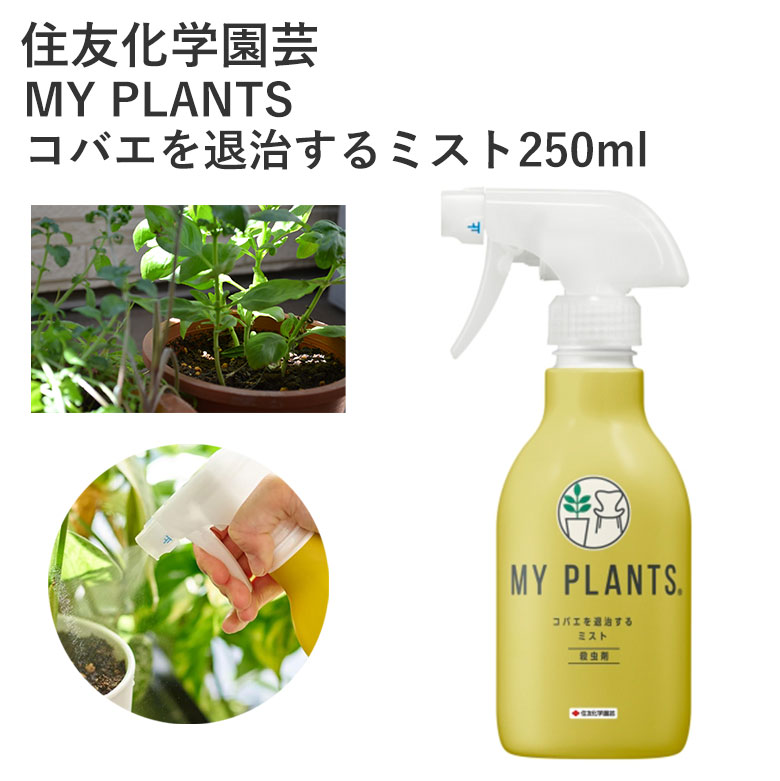 ͧر MY PLANTS Х༣ߥ250ml Բ ߥ տʪ    ̵ ƥ Х  ߥ ץ졼