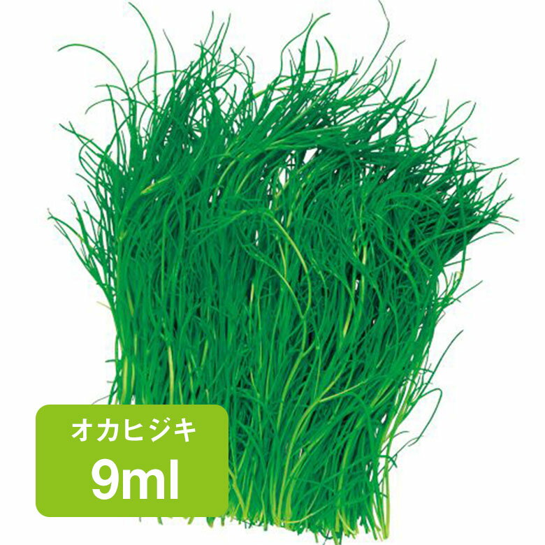 オカヒジキ 9ml 家庭菜園 野菜 種 種