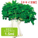 商品名 セルリー・ミニホワイト 1.5ml 学名 Apium graveolens L 和名 オランダミツバ 開花時期 発芽適温：15〜20℃ 生育適温：20℃〜25℃ 発芽日数：7〜12日 特徴 葉柄が純白なミニセルリーで、スープやサラダに適する。 食欲をそそるマイルドな香りで、食味はクセがなく、用途が広い。 日当たり・置き場所 日当たりと風通しの良い場所 水やり 乾燥すると、生育不良になりがちです。 地植えの場合、雨が降らず、乾燥する日が1週間以上続くようなら、水やりを。 プランター栽培の場合は、土の表面が乾いたら、鉢底から出てくるまでたっぷりと水を与えましょう。 水やりは、葉や茎にかけるのではなく、株元に。 肥料 セロリは肥料を好む野菜です。 育苗した苗を植えつける前に畑に堆肥と化成肥料をまき、土深くまでしっかり耕します。 追肥は苗を植えつけてから1週間～20日後から始めて、収穫まで行います。 病気と害虫 セロリの病害虫 セロリで問題になりやすい病害虫は、アブラムシとキアゲハ、そして軟腐病です。 アブラムシとキアゲハはすぐに発見できるので、対応する農薬の散布や、数が少なければ手で取って捕殺することで容易に駆除できます。商品名 セルリー・ミニホワイト 1.5ml 学名 Apium graveolens L 和名 オランダミツバ 開花時期 発芽適温：15〜20℃ 生育適温：20℃〜25℃ 発芽日数：7〜12日 特徴 葉柄が純白なミニセルリーで、スープやサラダに適する。 食欲をそそるマイルドな香りで、食味はクセがなく、用途が広い。 日当たり・置き場所 日当たりと風通しの良い場所 水やり 乾燥すると、生育不良になりがちです。 地植えの場合、雨が降らず、乾燥する日が1週間以上続くようなら、水やりを。 プランター栽培の場合は、土の表面が乾いたら、鉢底から出てくるまでたっぷりと水を与えましょう。 水やりは、葉や茎にかけるのではなく、株元に。 肥料 セロリは肥料を好む野菜です。 育苗した苗を植えつける前に畑に堆肥と化成肥料をまき、土深くまでしっかり耕します。 追肥は苗を植えつけてから1週間～20日後から始めて、収穫まで行います。 病気と害虫 セロリの病害虫 セロリで問題になりやすい病害虫は、アブラムシとキアゲハ、そして軟腐病です。 アブラムシとキアゲハはすぐに発見できるので、対応する農薬の散布や、数が少なければ手で取って捕殺することで容易に駆除できます。 関連商品 野菜種の商品一覧はこちら⇒