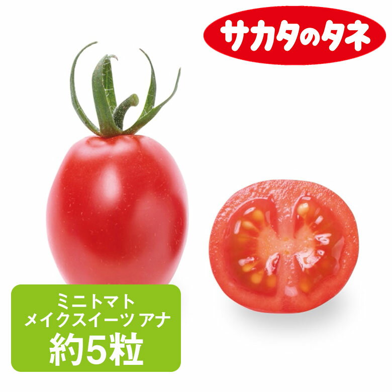 ミニトマト メイクスイーツ アナ 約5粒 サカタ交配 とまと トマト みにとまと 種 種子 サカタ 栽培 野菜 家庭菜園