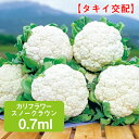 カリフラワー スノークラウン タキイ交配 0.7ml 家庭菜園 野菜 種 種子 種まき ハナヤサイ ガーデニング 栽培 農業 野菜作り 野菜 おすすめ タキイ