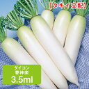 ダイコン 春神楽 タキイ交配 3.5ml 家庭菜園 野菜 種 種子 種まき だいこん 大根 栽培 農業 野菜作り 野菜 おすすめ タキイ 通販 春まき 秋どり 作りやすい