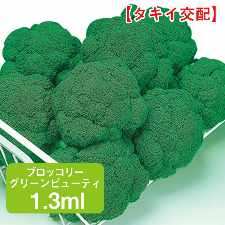 ブロッコリー グリーンビューティ 1.3ml 家庭菜園 野菜 種 種子 種まき ミドリハナヤサイ ガーデニング 栽培 農業 野菜作り 野菜 おすすめ タキイ