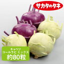 キャベツ コールラビ ミックス 約80粒 サカタ交配 甘藍 きゃべつ 家庭菜園 野菜 種 種子 ガーデニング 栽培 農業 野菜作り 野菜 おすすめ サラダ サカタ サカタのタネ 通販 春 夏 秋 冬