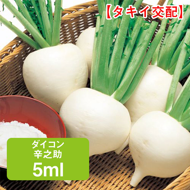 ダイコン 辛之助 タキイ交配 5ml 家庭菜園 野菜 種 種子 種まき だいこん 大根 栽培 農業 野菜作り 野菜 おすすめ タキイ 通販 作りやすい 大根おろし おろし