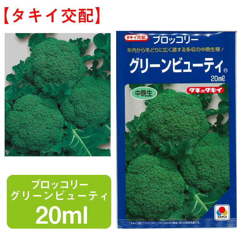商品名 ブロッコリー グリーンビューティ 20ml 学名 Brassica oleracea var. italica 和名 ミドリハナヤサイ 開花時期 発芽適温：15℃〜30℃ 生育適温：20℃前後 発芽日数：4〜6日 特徴 生育が旺盛で耐寒性に優れた、作りやすい中晩生種。 花蕾は濃緑色で、粒の揃いやしまりがよい。 頂側花蕾どり兼用で長期間たくさんとれる。 【頂花蕾側枝兼用】 頂花蕾を収穫した後、側枝花蕾が次々に伸びて、長い期間収穫できます。手ごろな大きさで使いやすく、家庭菜園ならではの楽しみ方が可能です。 熟期：中晩生 日当たり・置き場所 日当たりと風通しの良い場所 水やり 土の表面が乾いてからたっぷりと与えれば問題ありません。 湿度に弱い野菜ですので、乾燥気味に育ててあげるといいです。 また、夏場は日中の暑さが極まる時間帯を避けて水やりし、反対に冬場なら日中の暖かい時間帯に水やりをしましょう。 肥料 定植の2週間以上前に苦土石灰を全面散布して深く耕し、1週間前に元肥を施します。 定植は株間を40～50cmとして、深植えにならないよう株元が少し高くなるくらいに植えつけ、水やりをします。 よい花蕾を取るには大きく充実した株にすることが重要です。 生育状態を見ながら、速効性の液肥や追肥用の化成肥料を施します。 1平方メートル当たり、苦土石灰は約100g、元肥は完熟堆肥約2kg、化成肥料（N：P：K＝8：8：8）2握り（約100g）とします。追肥（1株あたり化成肥料1握り）は1回目は活着して生育を始める頃、2回目は花蕾が見え始める頃とし、同時に中耕と土寄せをします。 病気と害虫 害虫では生育前半にヨトウムシ、コナガ、アオムシなどがつきやすいので、見つけ次第捕殺するか、殺虫剤を散布します。 あるいは防虫ネットをトンネル状にかけると被害を抑えることができます。商品名 ブロッコリー グリーンビューティ 20ml 学名 Brassica oleracea var. italica 和名 ミドリハナヤサイ 開花時期 発芽適温：15℃〜30℃ 生育適温：20℃前後 発芽日数：4〜6日 特徴 生育が旺盛で耐寒性に優れた、作りやすい中晩生種。 花蕾は濃緑色で、粒の揃いやしまりがよい。 頂側花蕾どり兼用で長期間たくさんとれる。 【頂花蕾側枝兼用】 頂花蕾を収穫した後、側枝花蕾が次々に伸びて、長い期間収穫できます。手ごろな大きさで使いやすく、家庭菜園ならではの楽しみ方が可能です。 熟期：中晩生 日当たり・置き場所 日当たりと風通しの良い場所 水やり 土の表面が乾いてからたっぷりと与えれば問題ありません。 湿度に弱い野菜ですので、乾燥気味に育ててあげるといいです。 また、夏場は日中の暑さが極まる時間帯を避けて水やりし、反対に冬場なら日中の暖かい時間帯に水やりをしましょう。 肥料 定植の2週間以上前に苦土石灰を全面散布して深く耕し、1週間前に元肥を施します。 定植は株間を40～50cmとして、深植えにならないよう株元が少し高くなるくらいに植えつけ、水やりをします。 よい花蕾を取るには大きく充実した株にすることが重要です。 生育状態を見ながら、速効性の液肥や追肥用の化成肥料を施します。 1平方メートル当たり、苦土石灰は約100g、元肥は完熟堆肥約2kg、化成肥料（N：P：K＝8：8：8）2握り（約100g）とします。追肥（1株あたり化成肥料1握り）は1回目は活着して生育を始める頃、2回目は花蕾が見え始める頃とし、同時に中耕と土寄せをします。 病気と害虫 害虫では生育前半にヨトウムシ、コナガ、アオムシなどがつきやすいので、見つけ次第捕殺するか、殺虫剤を散布します。 あるいは防虫ネットをトンネル状にかけると被害を抑えることができます。 関連商品 野菜種の商品一覧はこちら⇒
