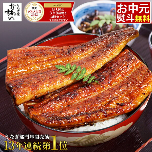 お中元 うなぎ 国産 送料無料 [楽天うなぎ部門13年連続売第1位] 高評価レビュー4.8 うなぎ屋