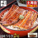 \通常7290円→大特価 5350円!土用丑 まだ間に合う/ お中元 うなぎ 国産 送料無料 蒲焼き 2尾 300g うなぎ屋かわすい グルメ 夏ギフト 鰻 ウナギ ひつまぶし うな丼 土用の丑の日 誕生日プレゼント 内祝いお返し 食品 冷凍 食べ物 喜ばれる 御中元 うなぎ 2尾 セール