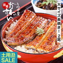\通常7290円→大特価 5350円!土用丑に/ お中元 うなぎ 国産 送料無料 蒲焼き 2尾 300g うなぎ屋かわすい グルメ 夏ギフト 鰻 ウナギ ひつま...