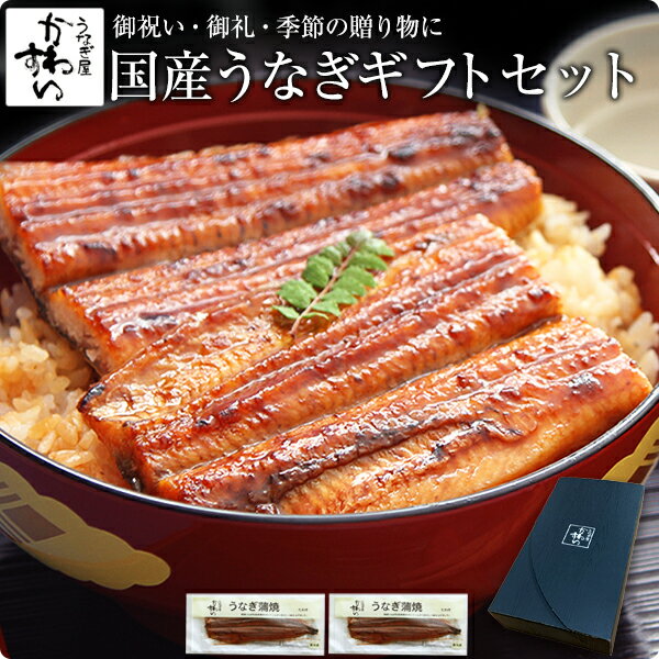 ギフト セット 父の日 うなぎ 蒲焼き特大国産うなぎ蒲焼き 170g×2本セット誕生日 お祝い お礼 内祝い 退職祝い 贈答 ギフト プレゼント 高級 グルメ 食品 食べ物 国産 うなぎ ウナギ 鰻 親戚 取引先 定番 送料無料 2尾