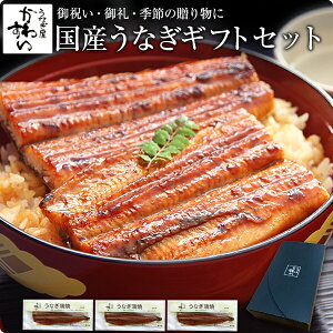 [ 国産うなぎ ギフトセット ]特大国産うなぎ蒲焼き 170g×3本セット 山椒別売誕生日 お祝い お礼 内祝い 退職祝い プレゼント 高級 グルメ 食品 国産 国内産 うなぎ ウナギ 鰻 冬ギフト 贈答用 父 祖父[gf]